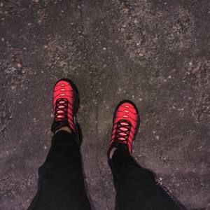 Meet your Posher, Wyatt